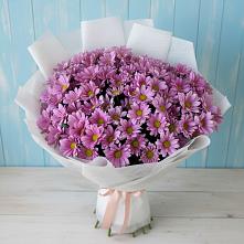 Букет цветов из:  Хризантемы в Болгатищево