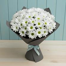 Букет цветов из:  Хризантемы в Болгатищево