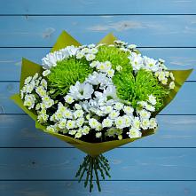 Букет цветов из:  Хризантемы #REPLACE_PRED# Болгатищево