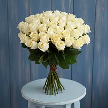Букет 51 Белая роза Эдлесс Лав #REPLACE_PRED# Болгатищево
