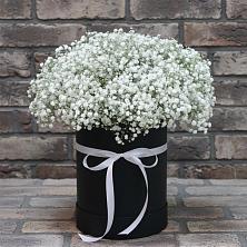 Цветочная композиция из Гипсофила в шляпной коробке в Болгатищево